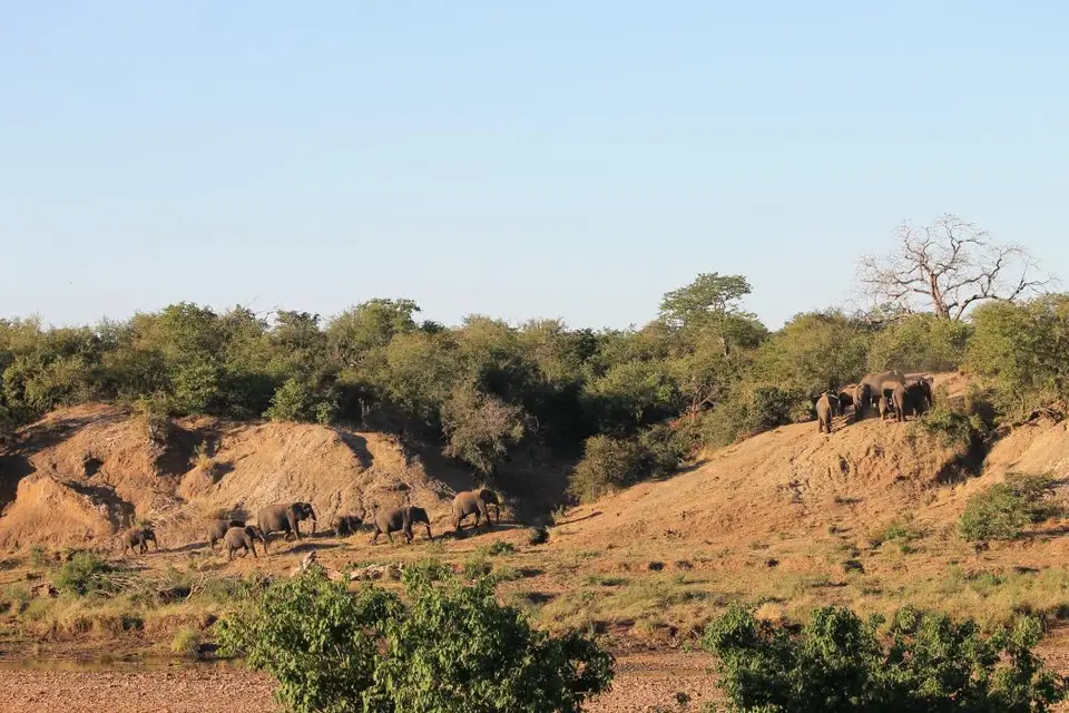 SA2016_043-2.jpg