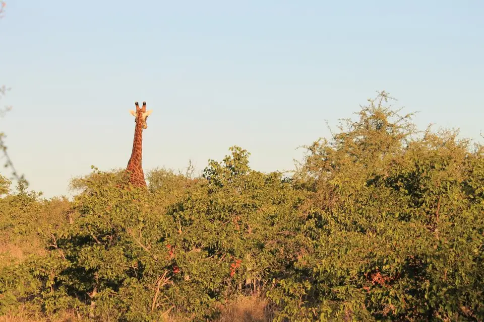 SA2016_048-2.jpg
