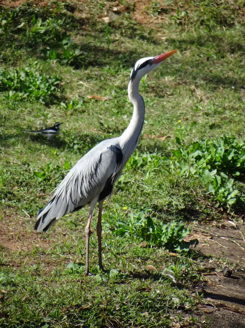 DSC09004.JPG