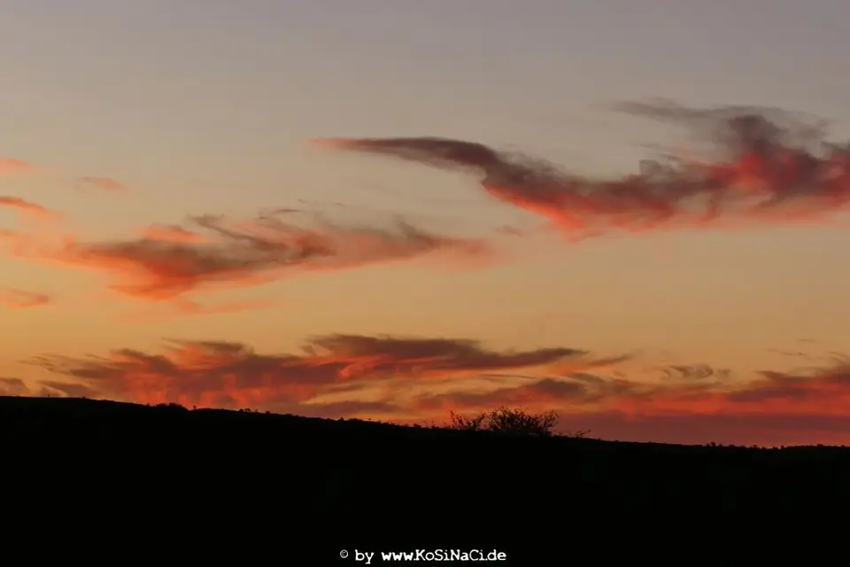 NA16_0266.JPG