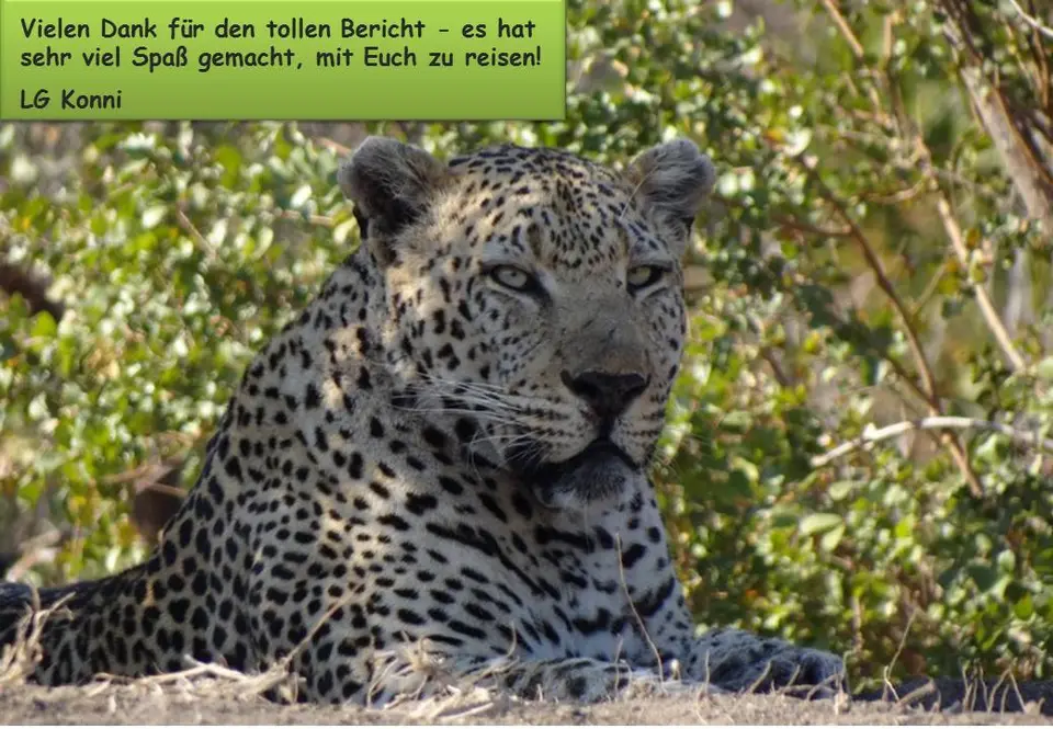 Annick-2.jpg