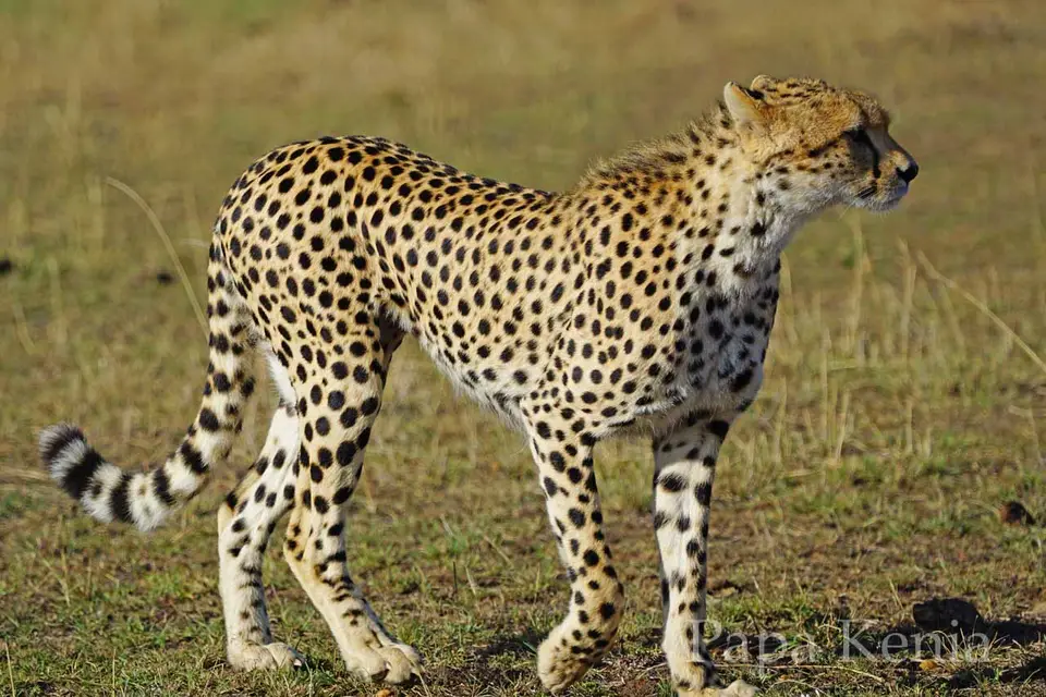 286.jpg