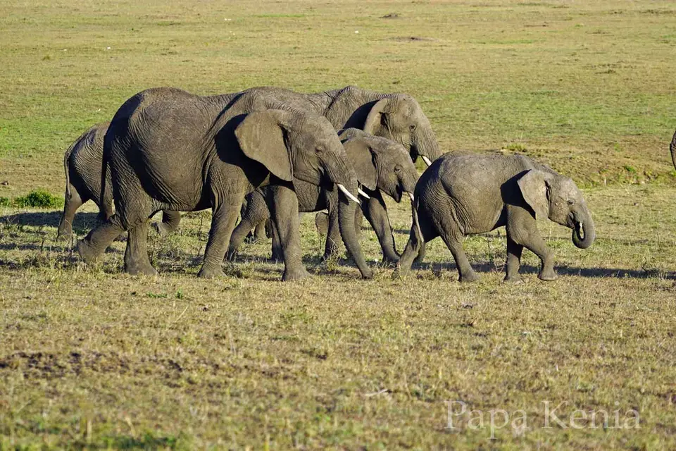 307.jpg