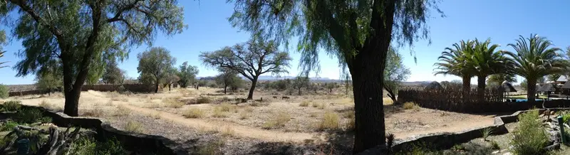 P1000939.jpg