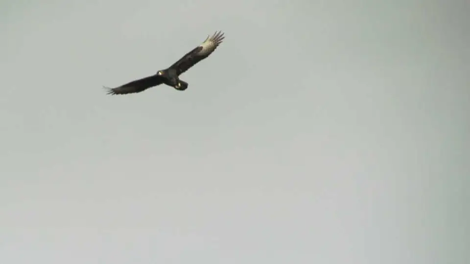 IMG_2045.JPG