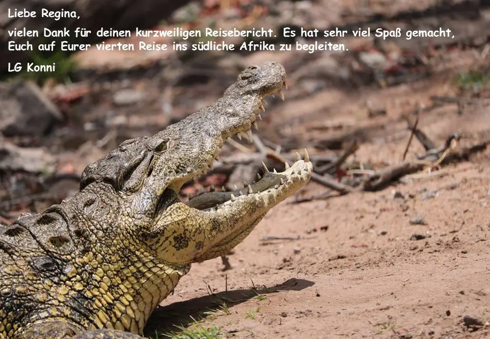 regsal.jpg