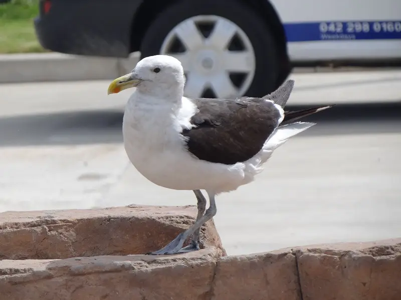 DSC05914.JPG