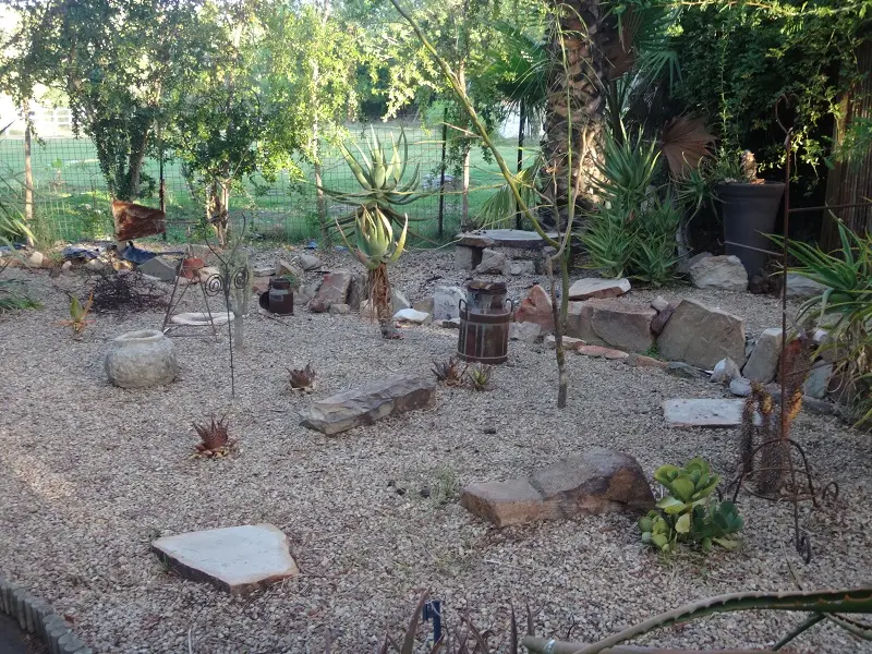DSC09514.JPG