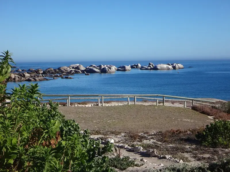 DSC09696.JPG