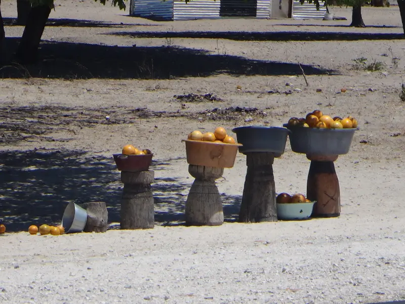 DSC08118.JPG