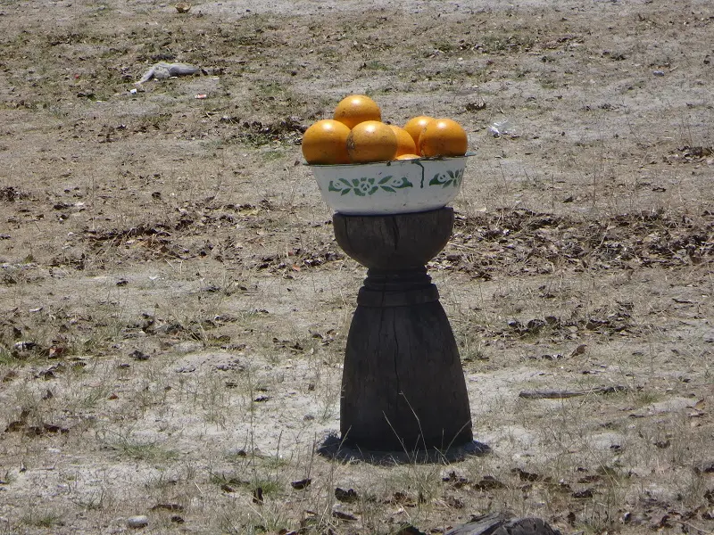 DSC08120.JPG