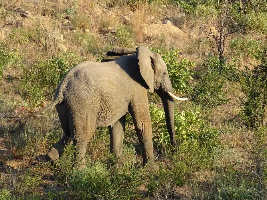 SA2016_023-2-3.JPG