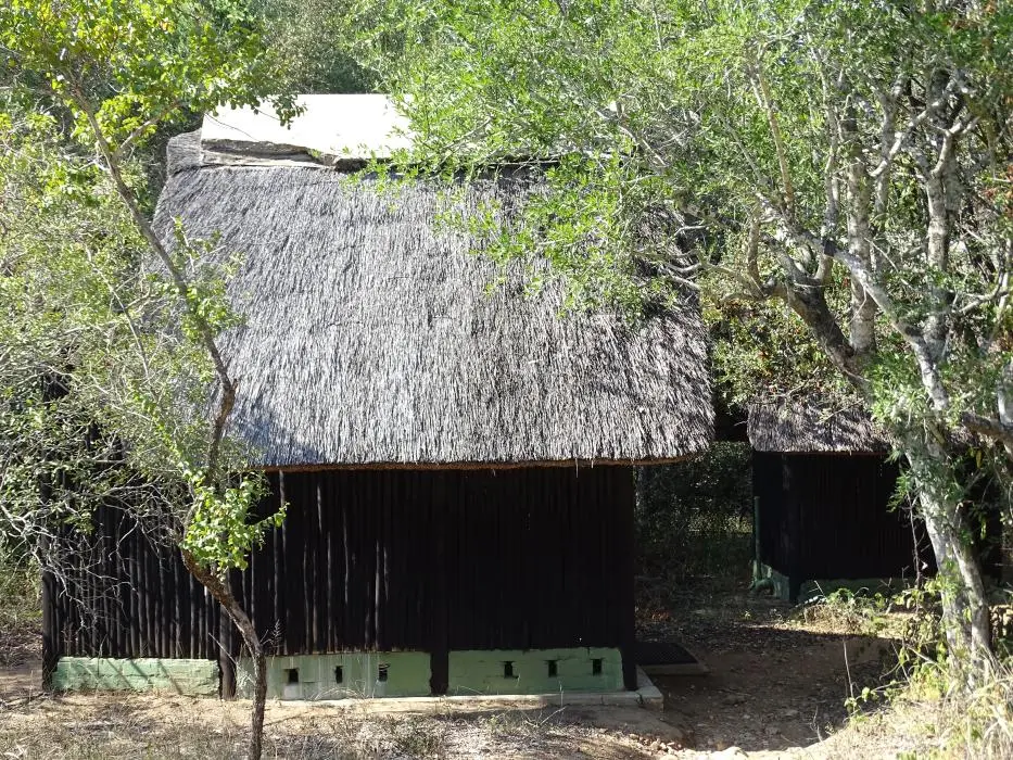 SA2016_004-2-3-4.JPG