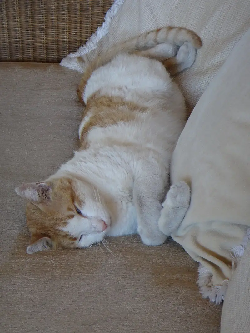 DSC00624.JPG
