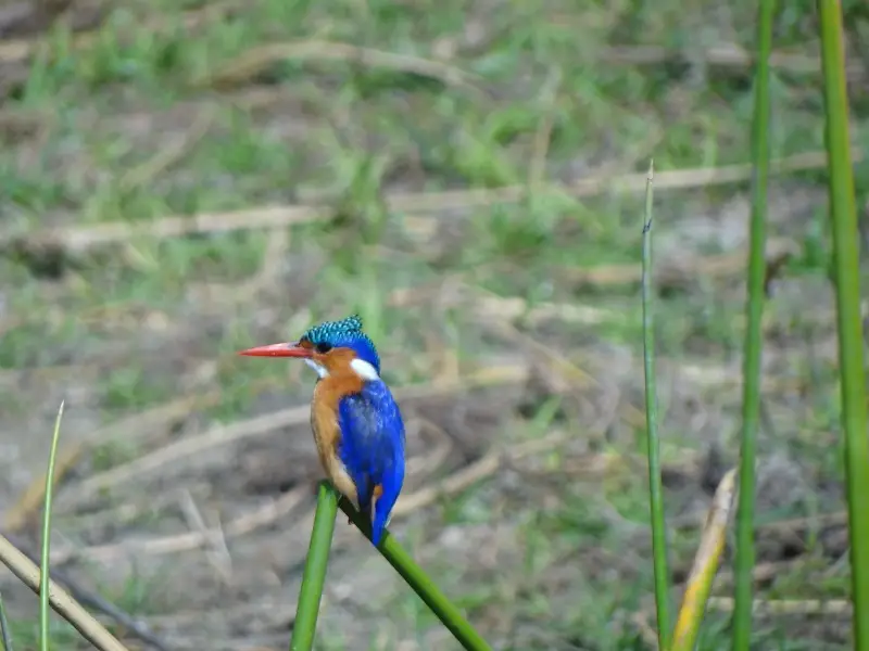 DSC07247.JPG