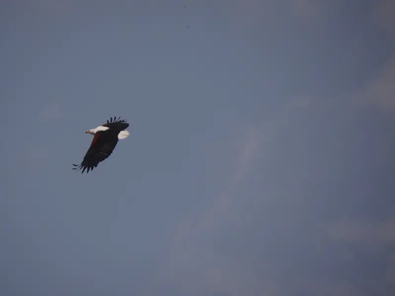 DSC07485.JPG