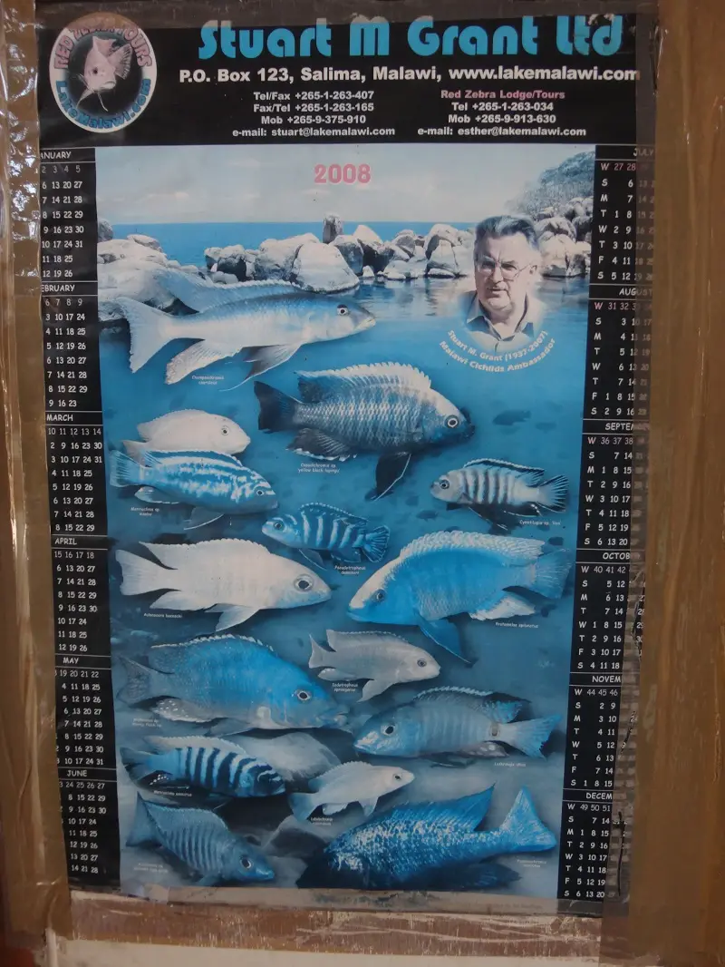 DSC01111.JPG