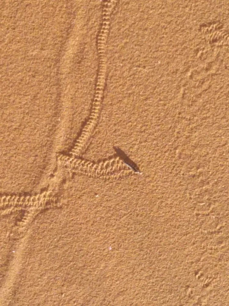 Namibia(13).JPG