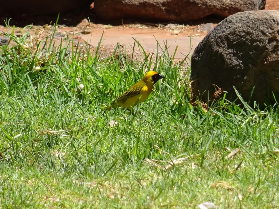 Namibia(15).JPG
