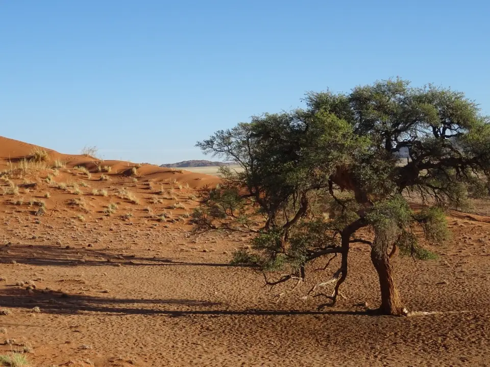 Namibia(7).JPG