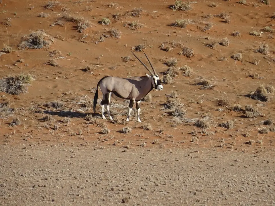 Namibia(10)-2.JPG