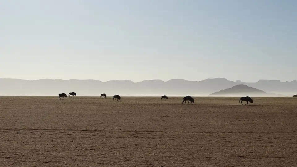 Namibia(5)-2.JPG