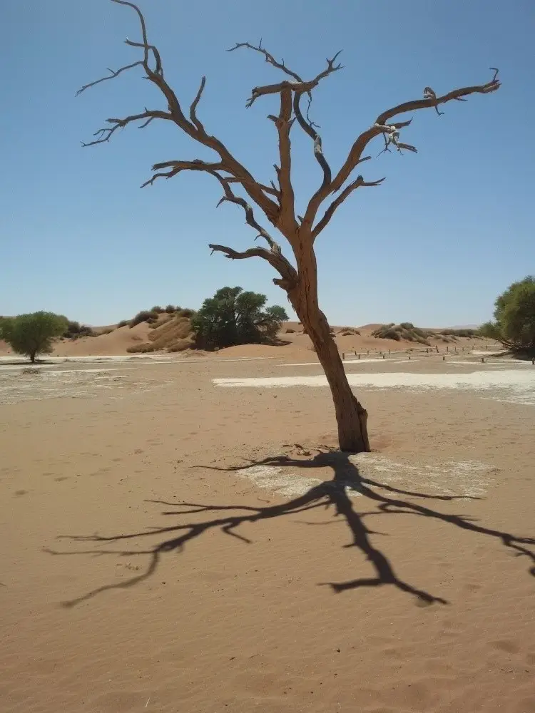 Namibia(19)-2.jpg