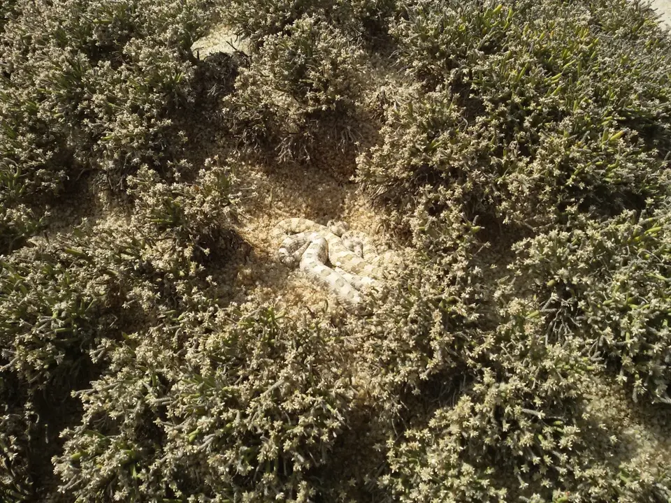 Namibia(10).jpg