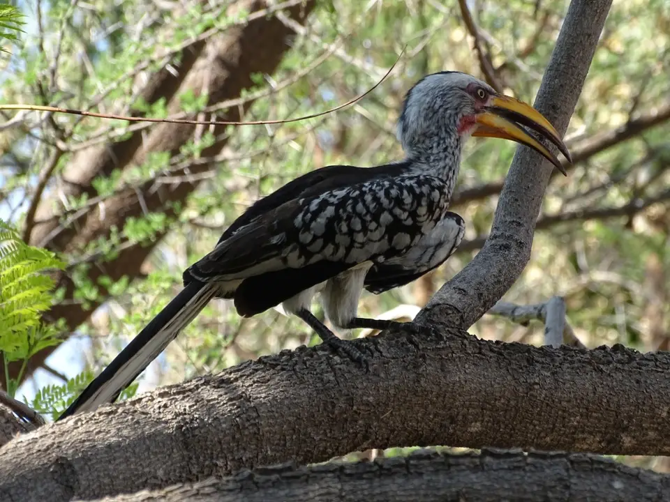 Namibia(11)-2-3-4-5.JPG