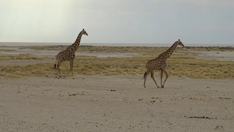 Namibia(6)-2-3-4-5.JPG