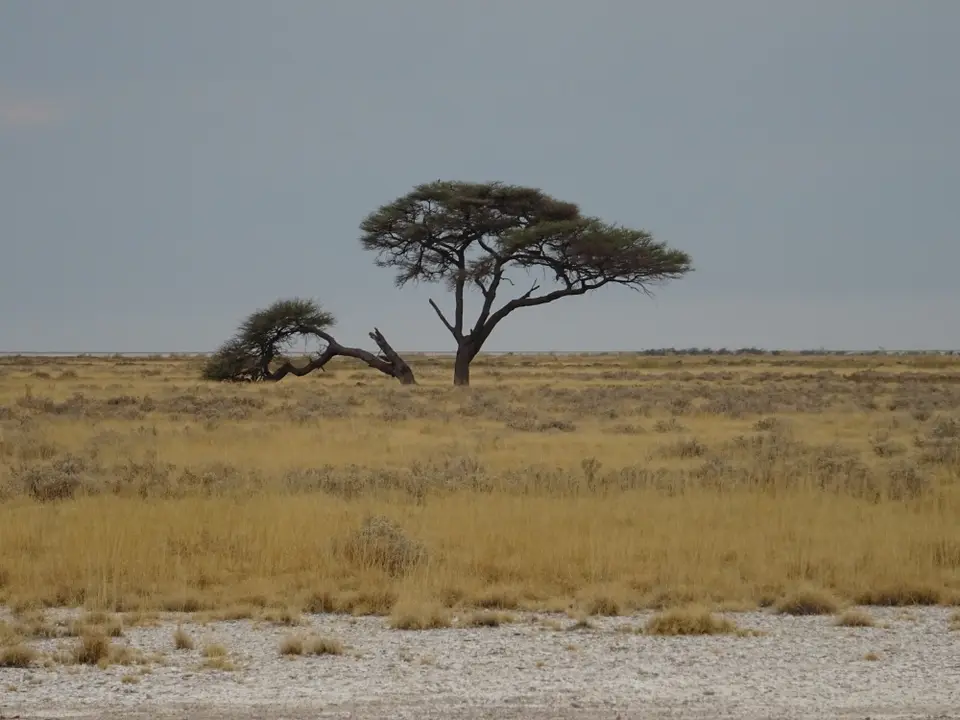 Namibia(8)-2-3-4-5.JPG