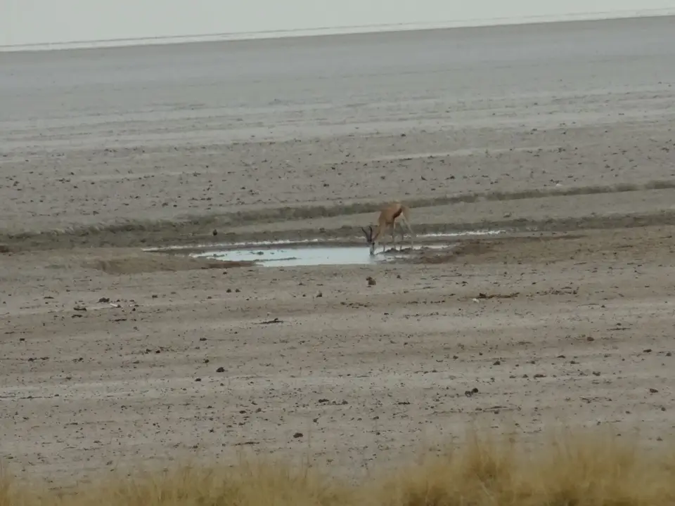Namibia(12)-2-3-4-5.JPG