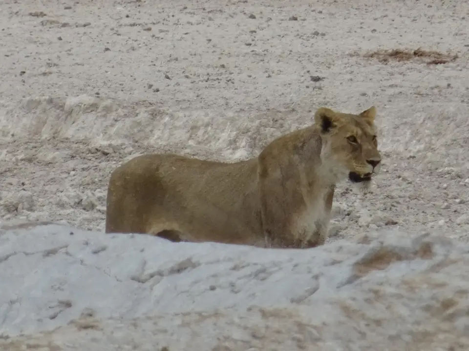Namibia(35).JPG