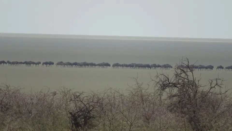 Namibia(5)-2-3-4-5-6-7.JPG