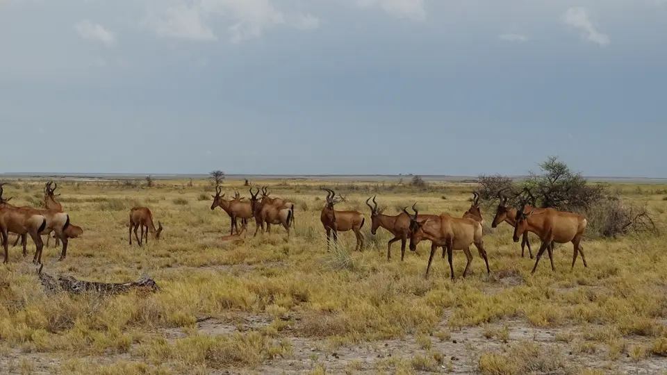 Namibia(8)-2-3-4-5-6.JPG