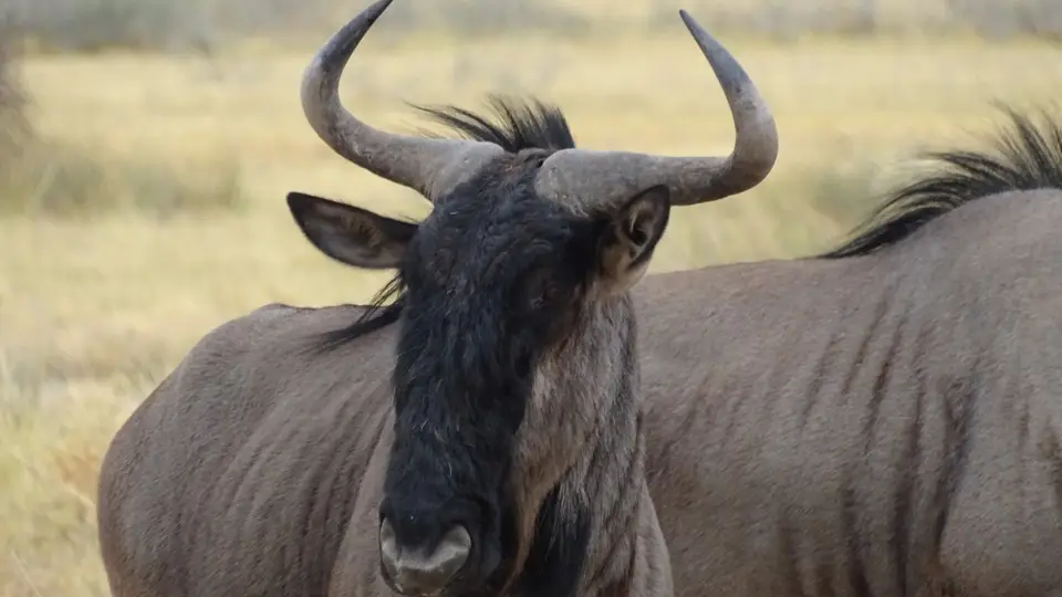 Namibia(9)-2-3-4-5-6.JPG