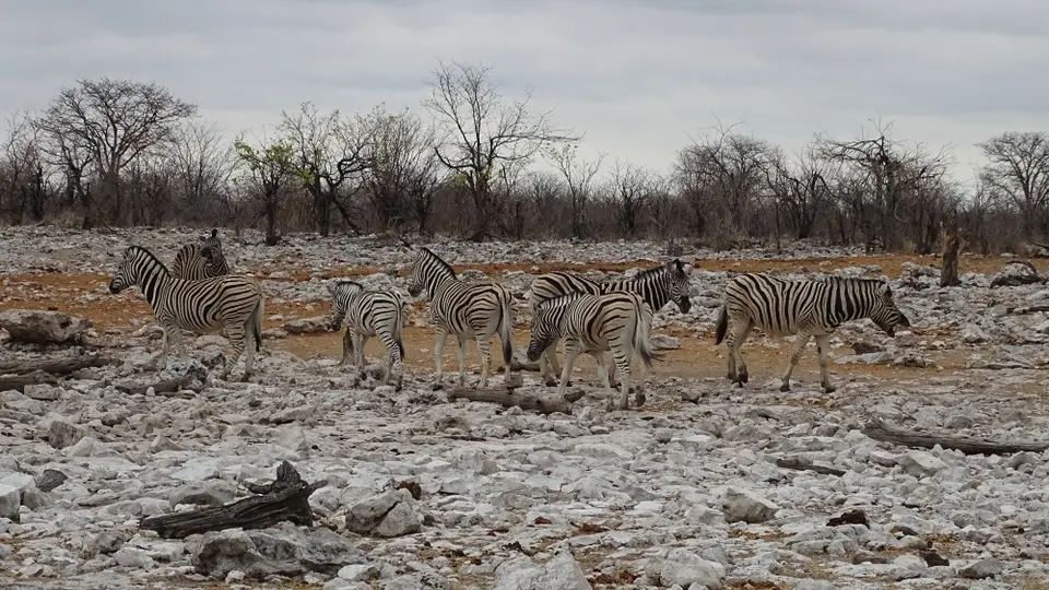 Namibia(12)-2-3-4-5-6.JPG