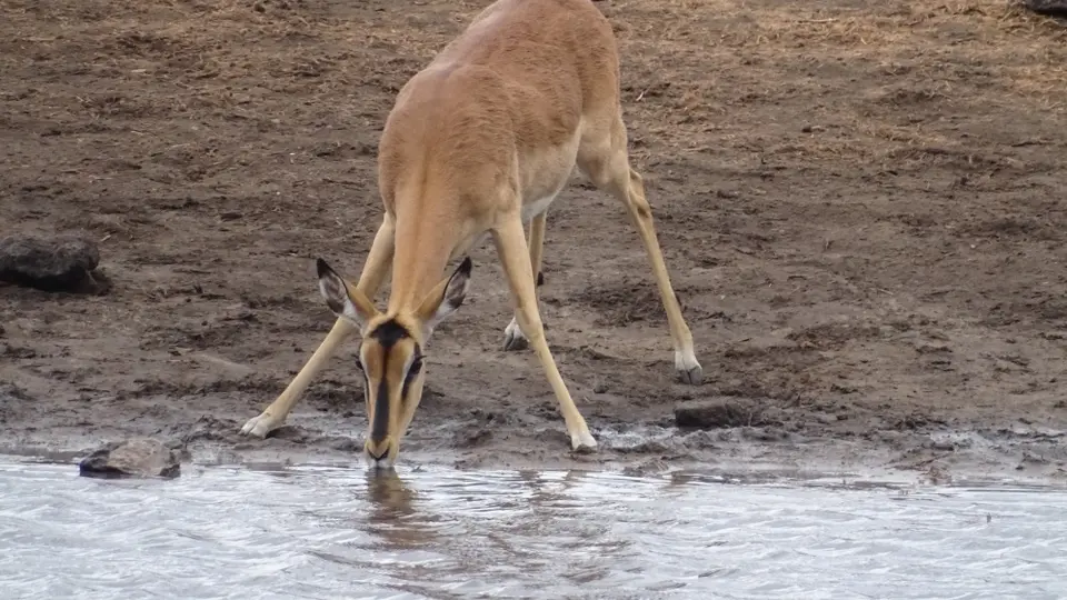 Namibia(17)-2-3.JPG