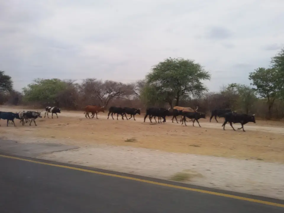 Namibia(9)-2-3.jpg