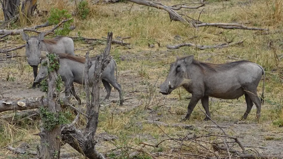Namibia(1)-2-3-4-5-6-7-8-9-10-11.JPG