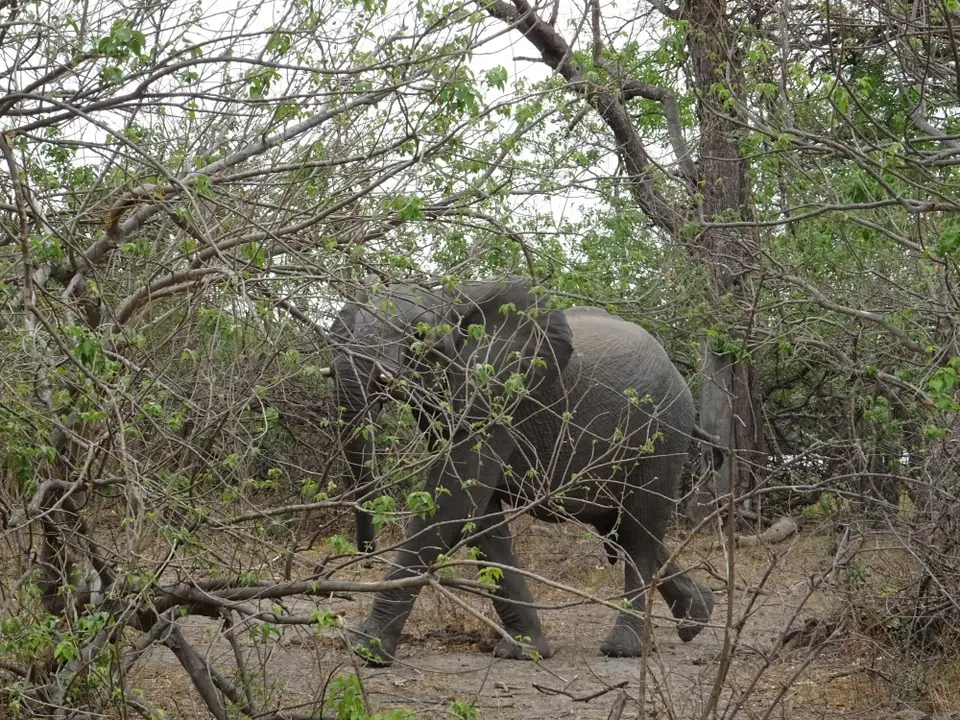 Namibia(16)-2-3-4-5-6-7.JPG