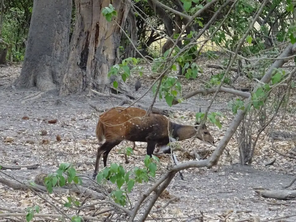 Namibia(46).JPG