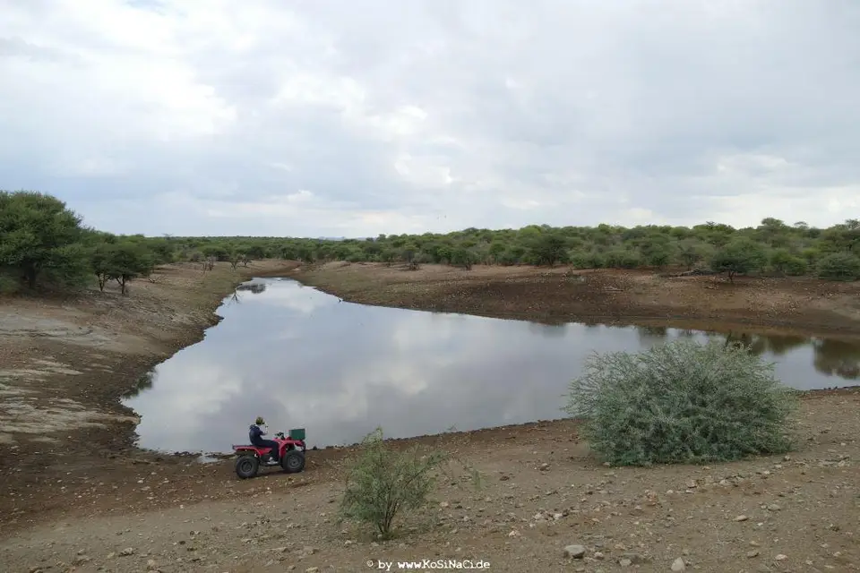 Na19_0074.JPG