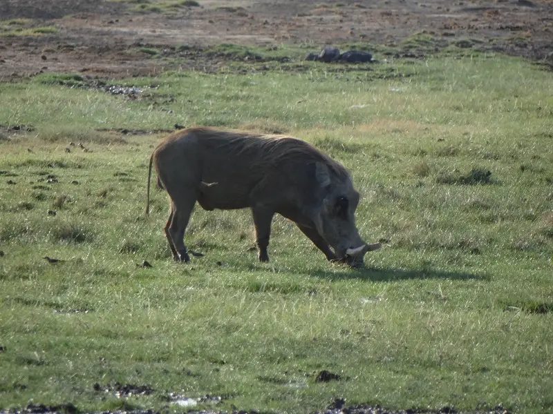DSC09584.JPG