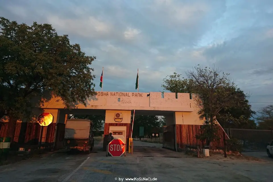 Na19_10717.JPG