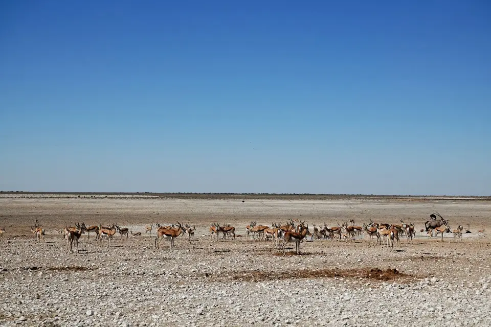 DSC03763_DxO.jpg
