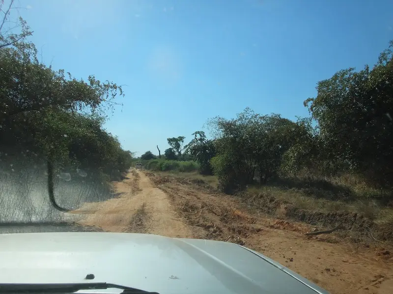 DSC03843.JPG
