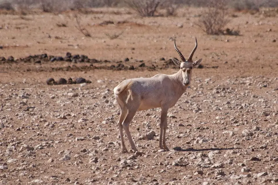 namibia-2019-06-0213-16-36.jpg