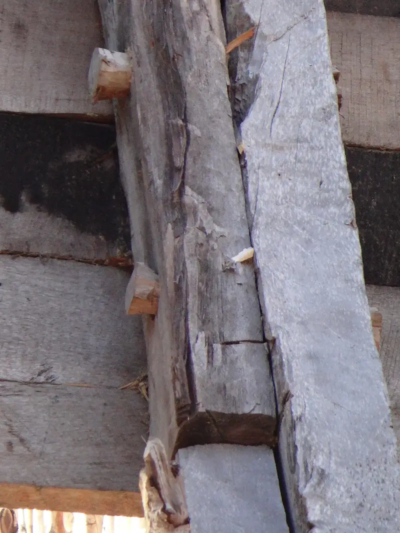 DSC04108.JPG