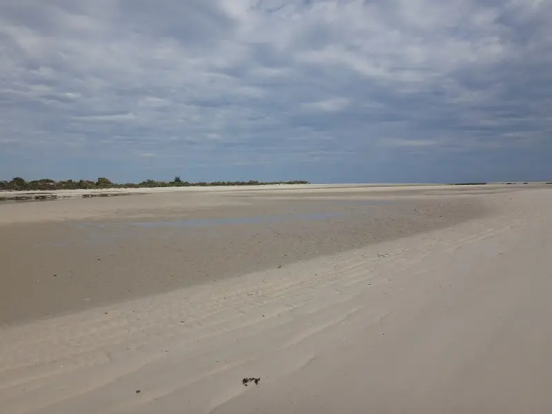 DSC04201.JPG